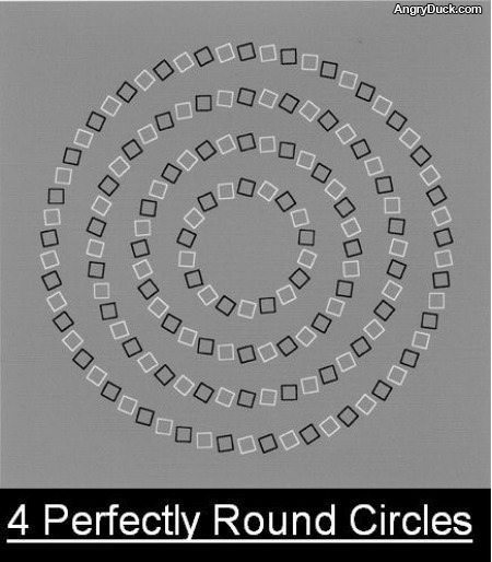 4 Round Circles