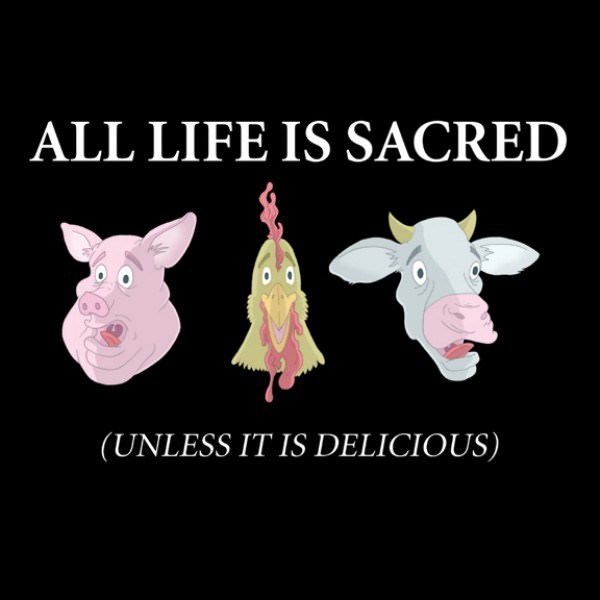 All Life is Sacred