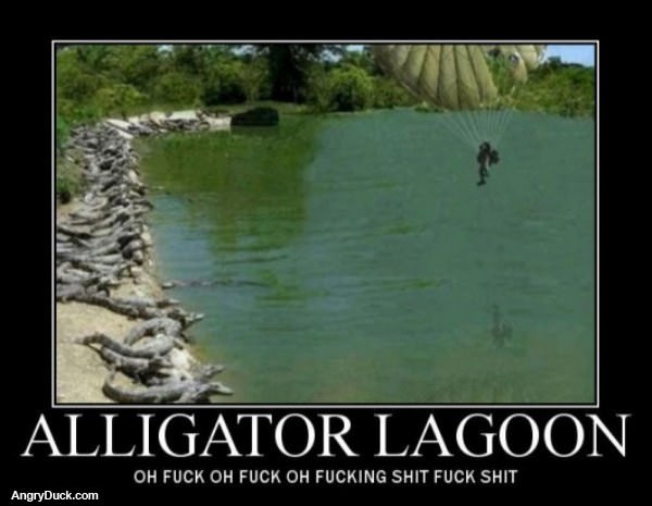 Alligator Lagoon