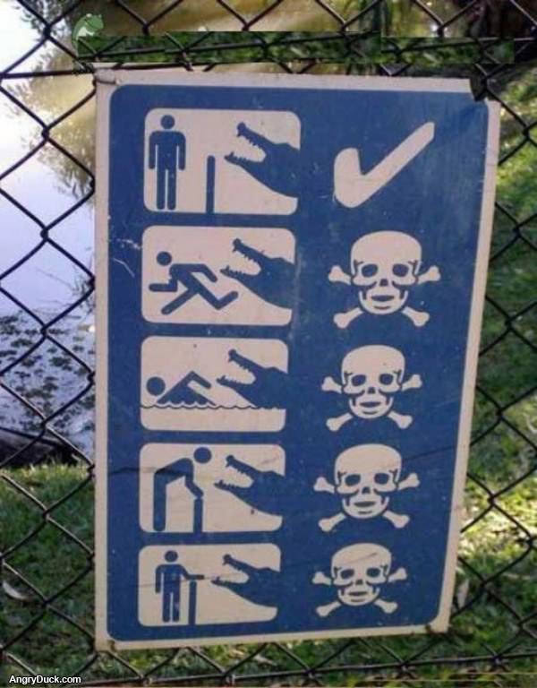 Alligator Warnings