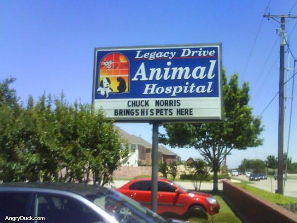 Animal Hospital