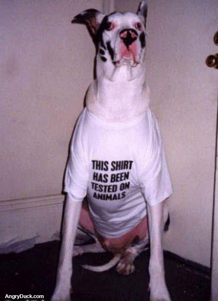 Animal Tested Shirt