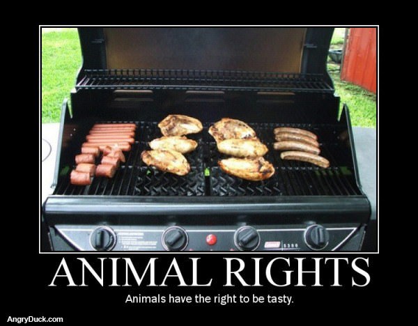 Animals Have Rights