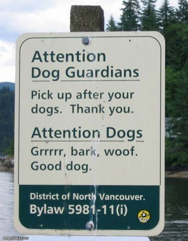 Attention Dogs