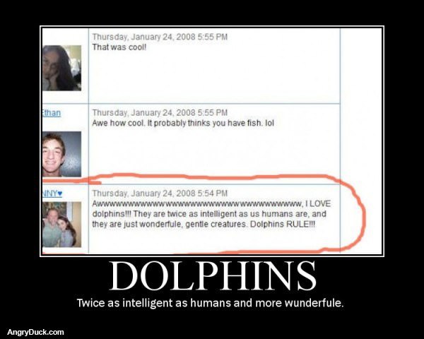 Awwww Doplphins