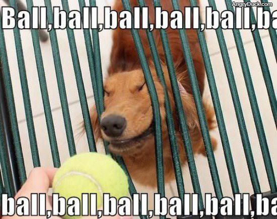 Ball