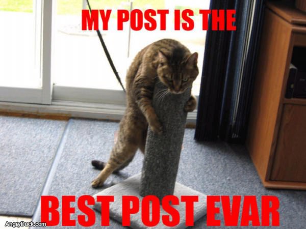 Best Post Evar