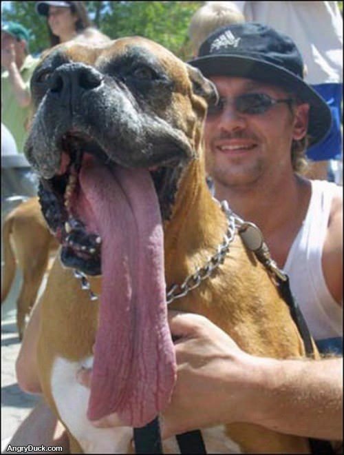 Big Dog Tongue