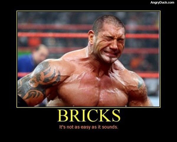 Bricks