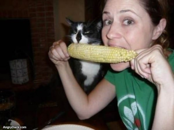 Brom Nom Nom Nom Corm