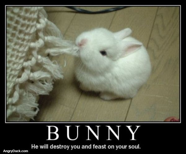 Bunny Will Destroy You