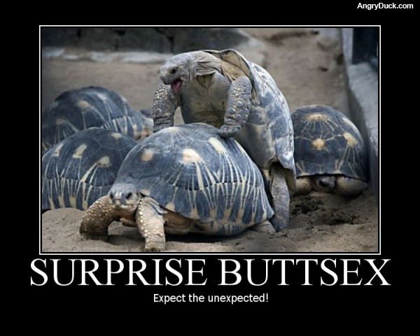 Buttsex