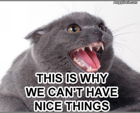 Cant Have Nice Things