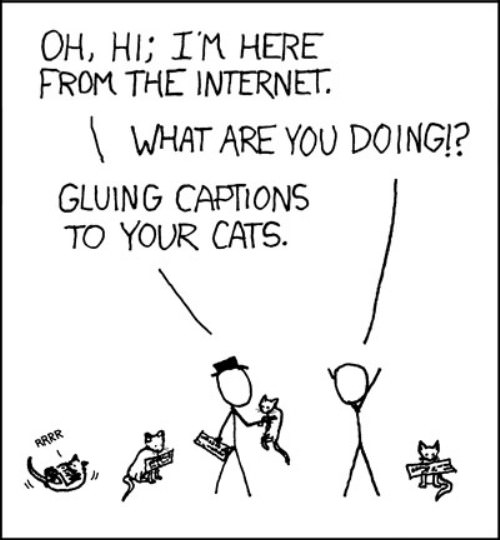 Cat Captions