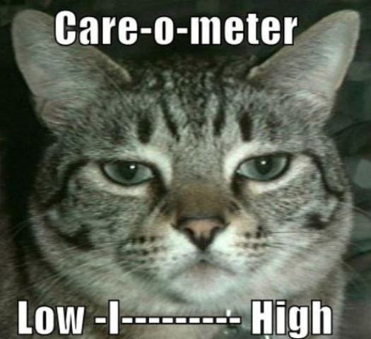 Cat Care Meter