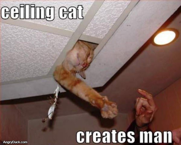 Ceiling Cat Creates Man