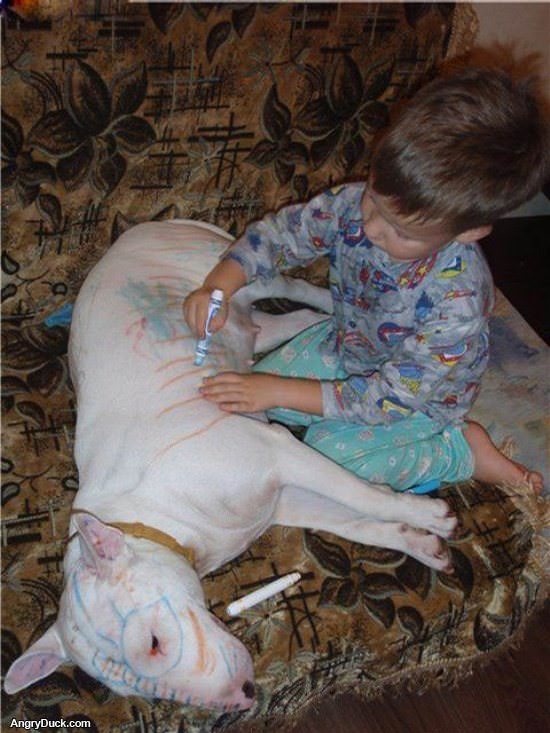 Coloring Dog