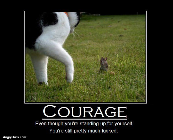 Courage