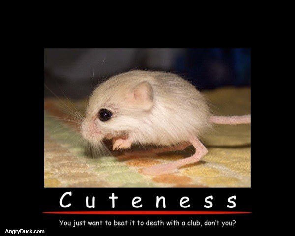 Cuteness