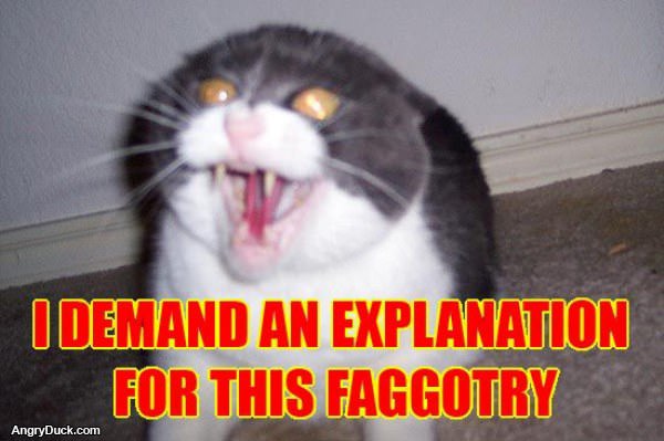 Demand and Explanation