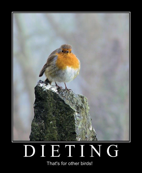 Dieting