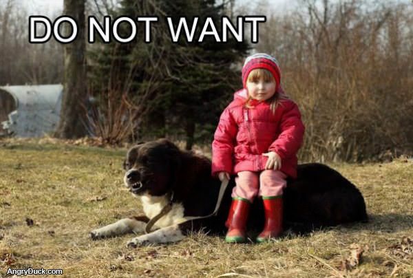 Do Not Want Dog