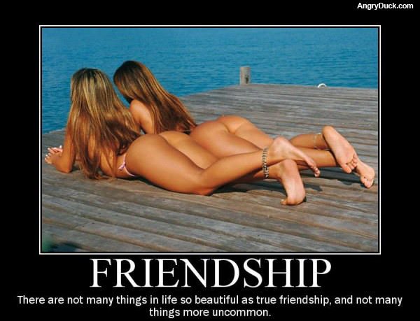 Friendship
