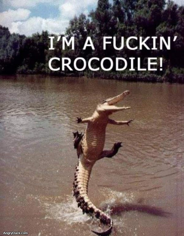 Fucking Crocodile