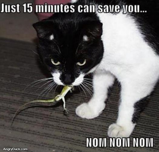 Geico Nom Nom Nom Nom