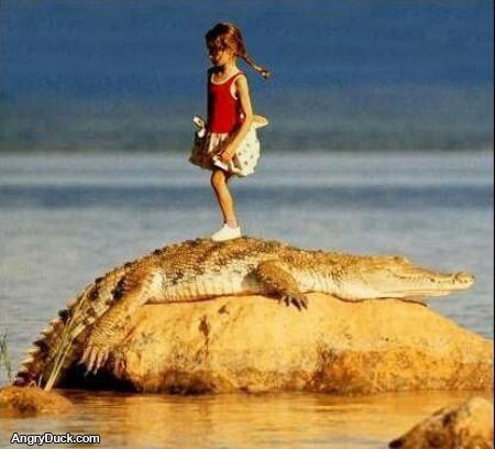 Hard Core Hop Scotch