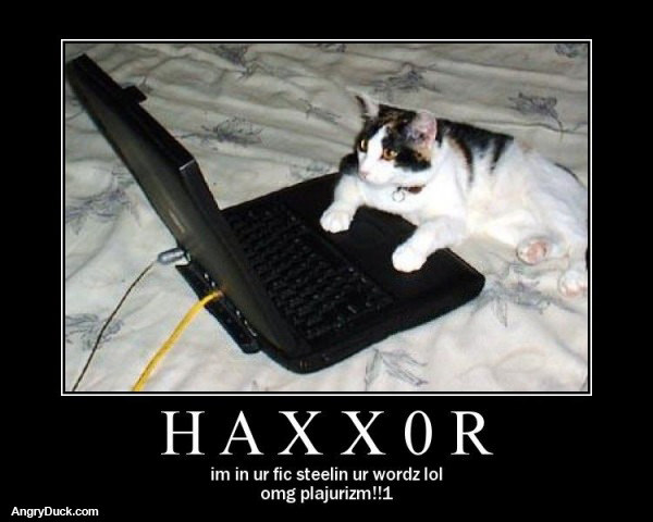 Haxxor Cat