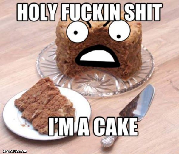 Holy Shit im a Cake