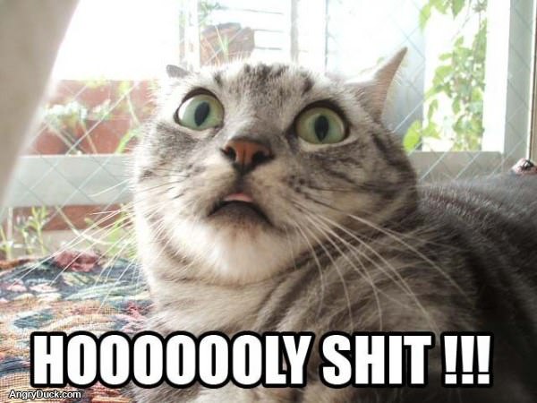 Hooooly Shit