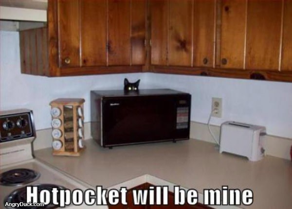 Hotpocket Will be Mine