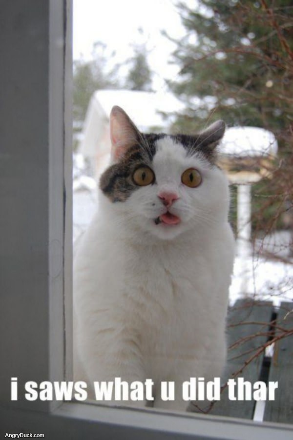 I Saw What u Did Thar