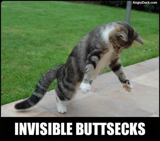 Invisible Buttsecks