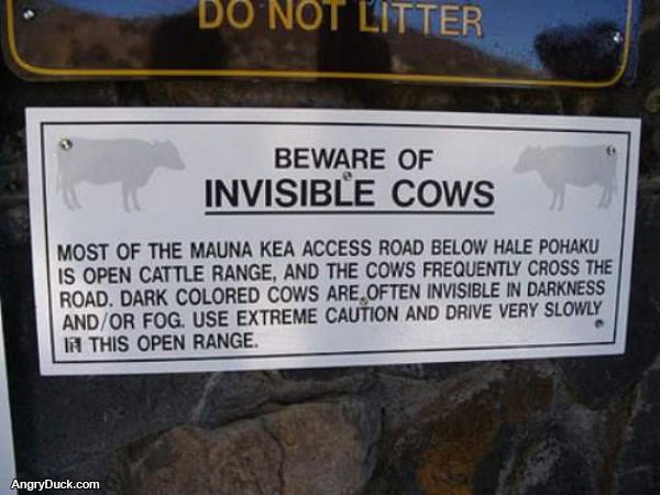 Invisible Cows