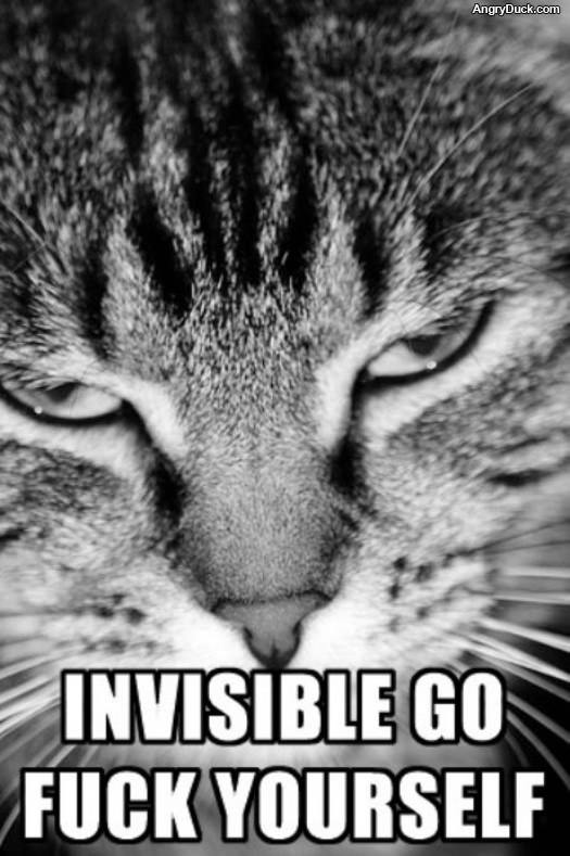 Invisible go Fuck Yourself