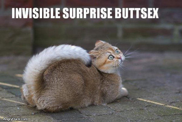 Invisible Surprise Buttsex