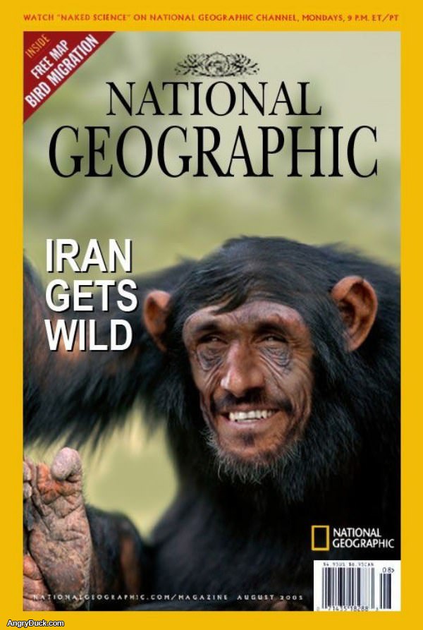 Iran Gets Wild