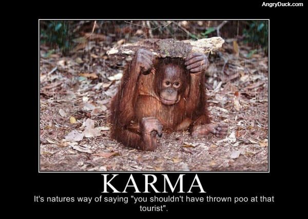 Karma Monkey