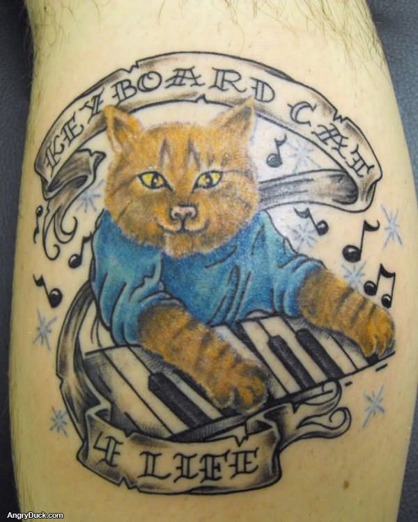 Keyboard Cat 4 Life