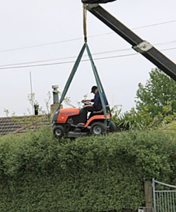 Lawnmower Hedge