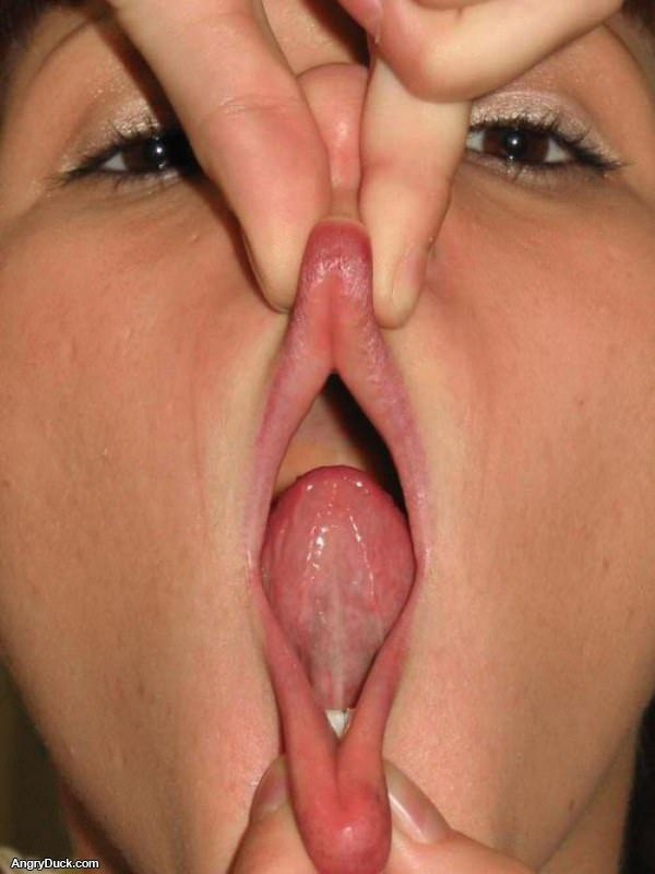 Looks Like Something