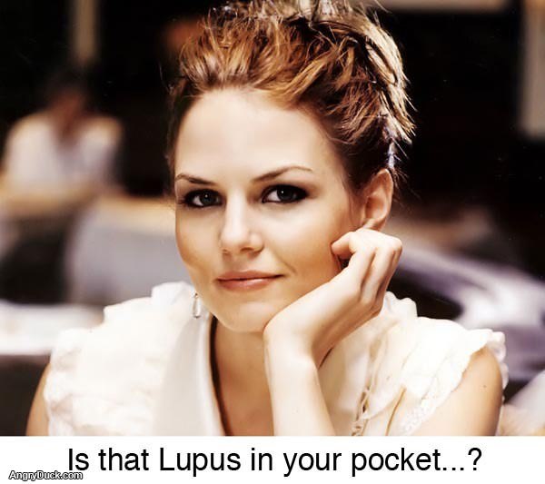 Lupus in Your Pocket