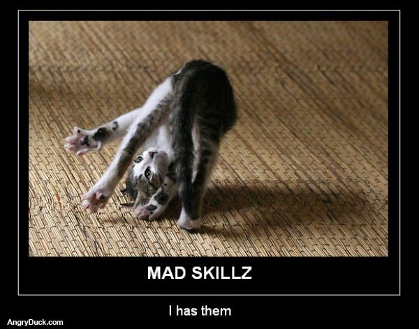 Mad Skillz Cat