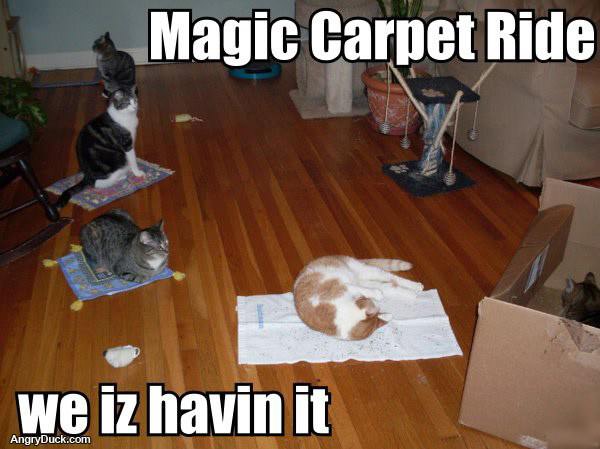 Magic Carpet Ride