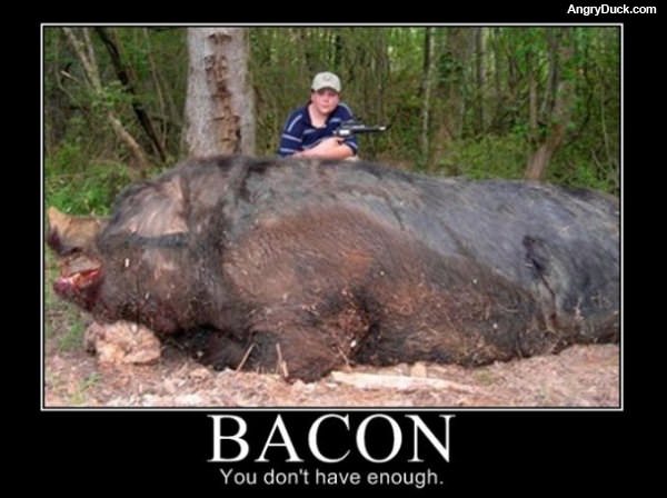 Mmm Bacon