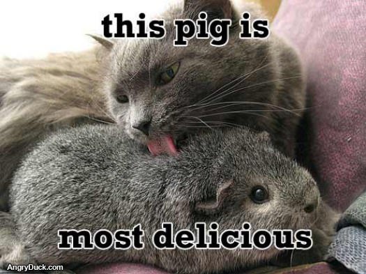 Most Delicious Pig