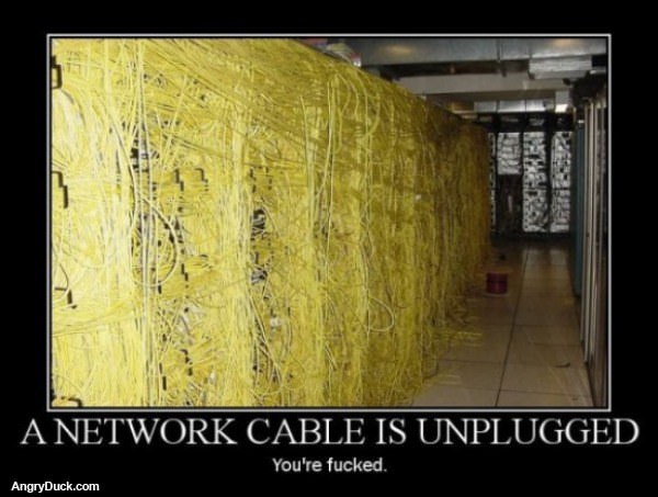 Network Cable Unplugged